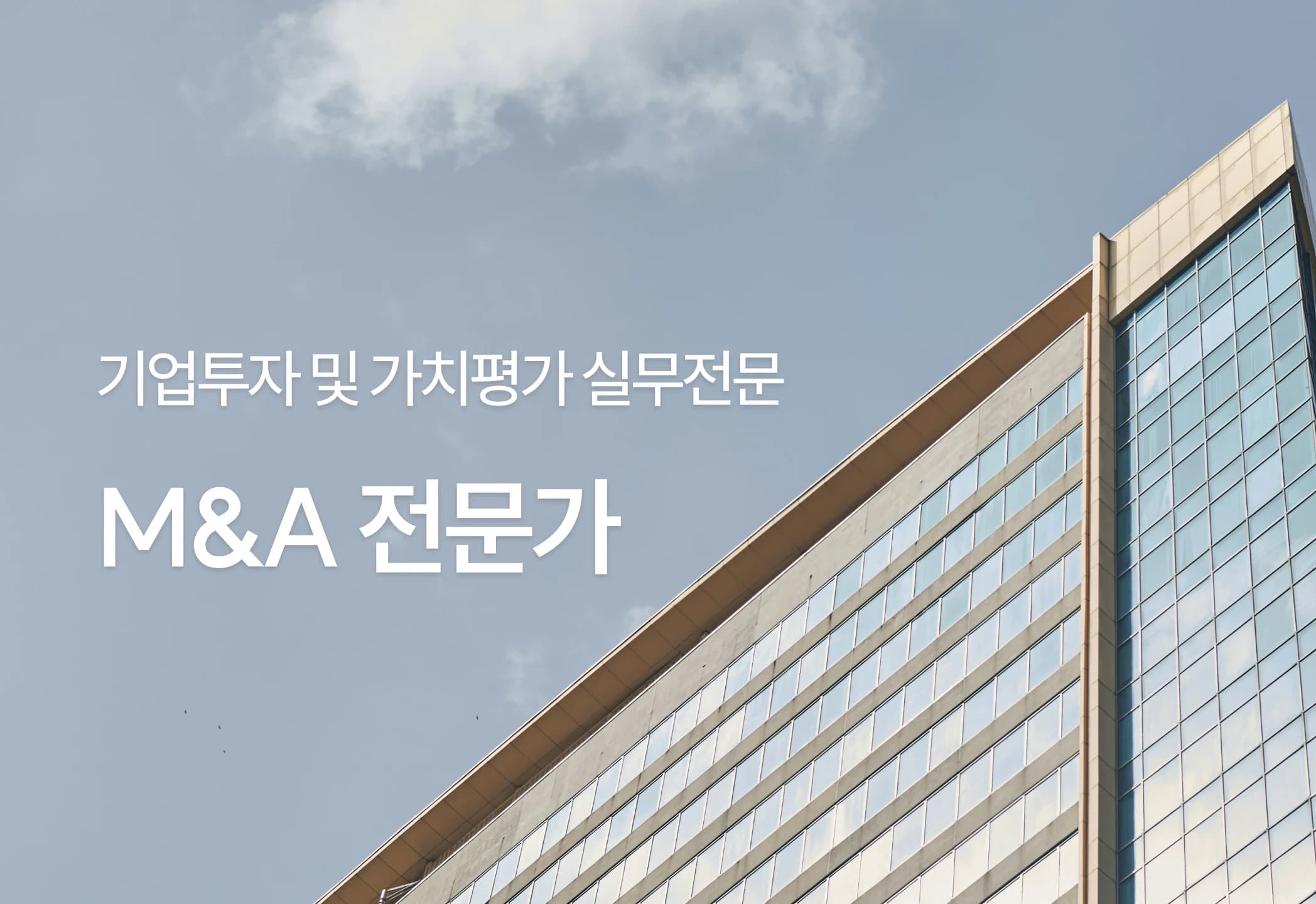 M&A지도사