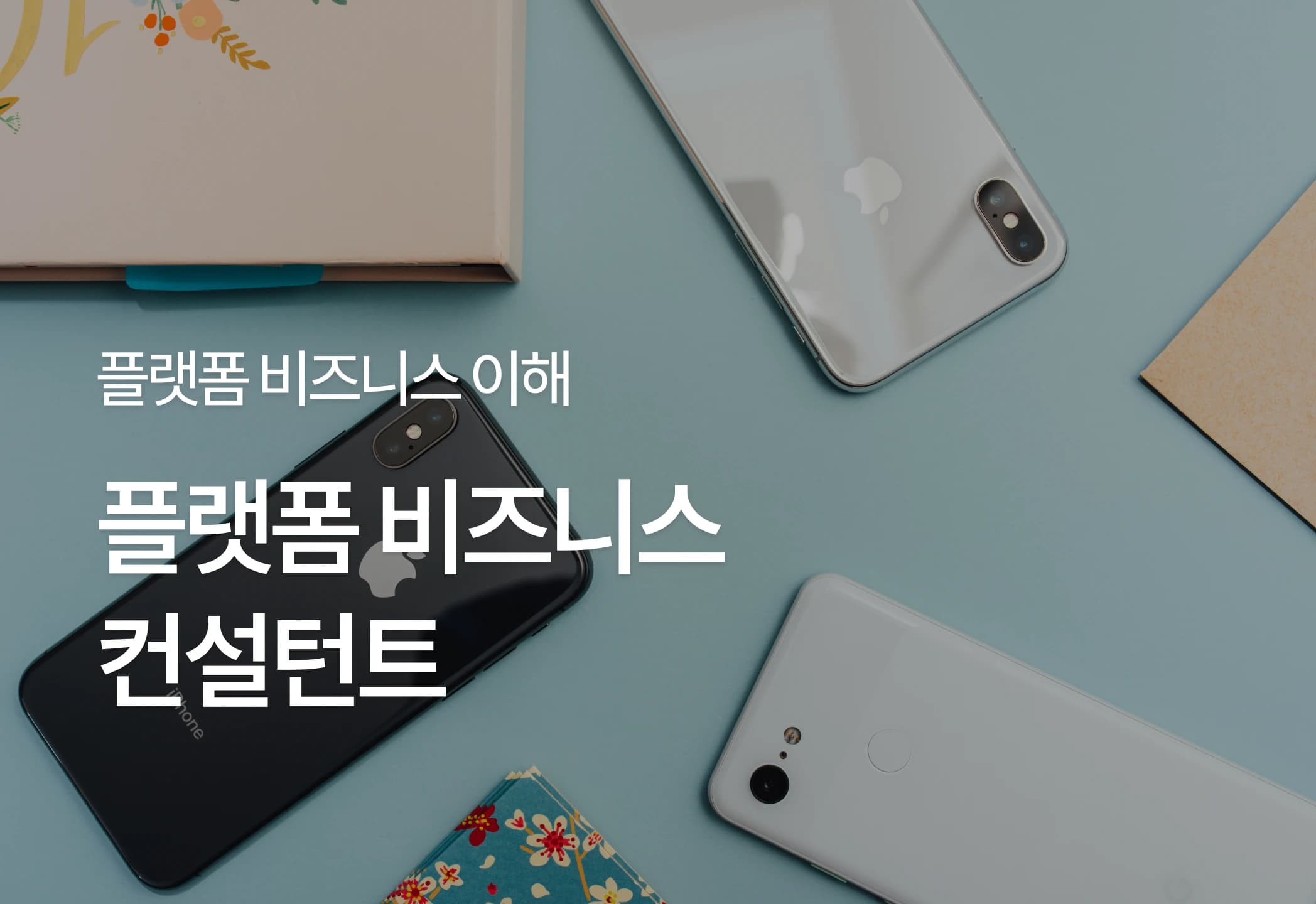 플랫폼비즈니스컨설턴트