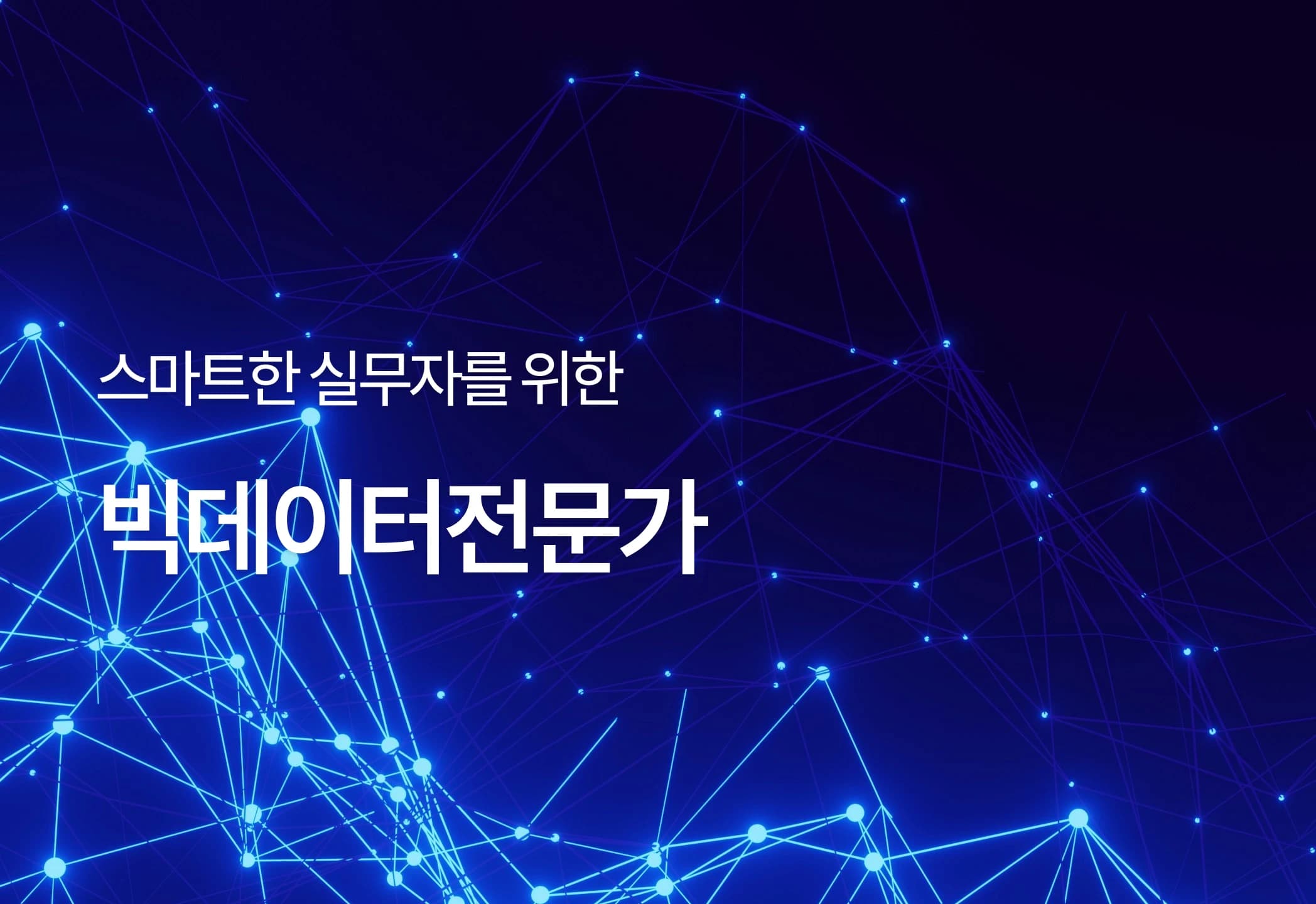 빅데이터전문가