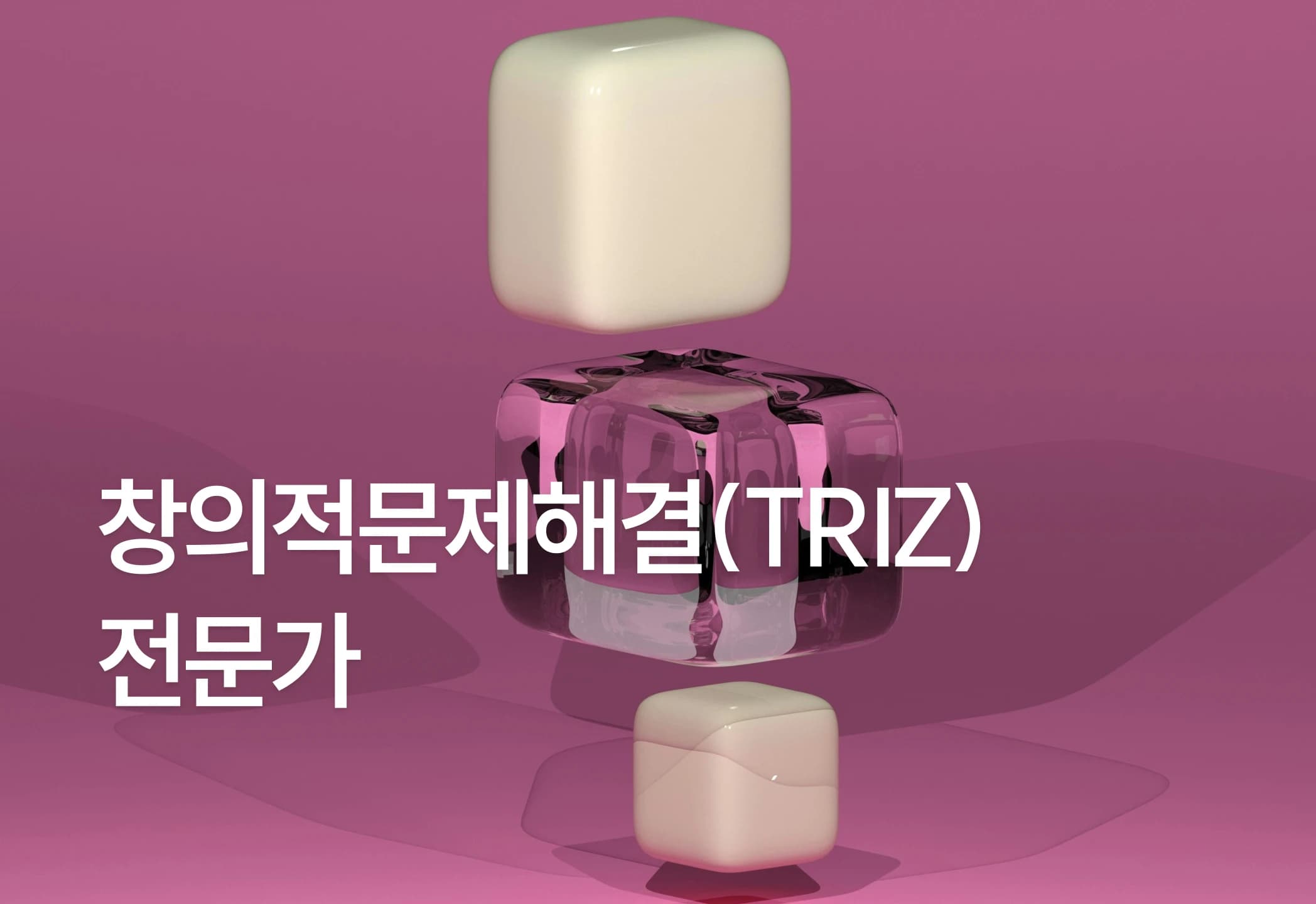 창의적문제해결(TRIZ)전문가