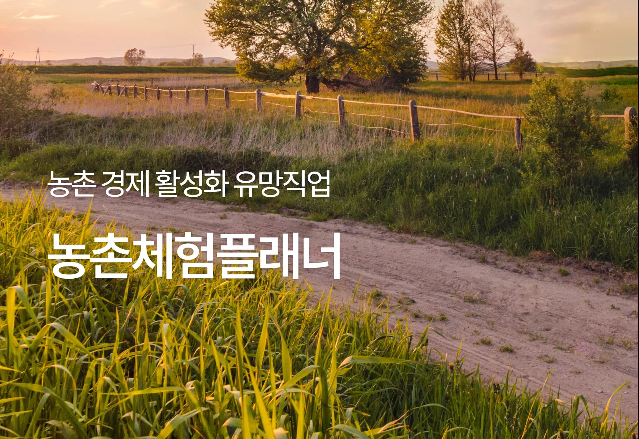 농촌체험플래너