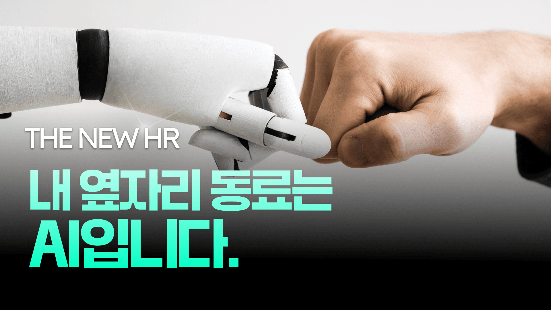 The NEW HR A.png